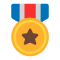 Military medal OnlyFans management